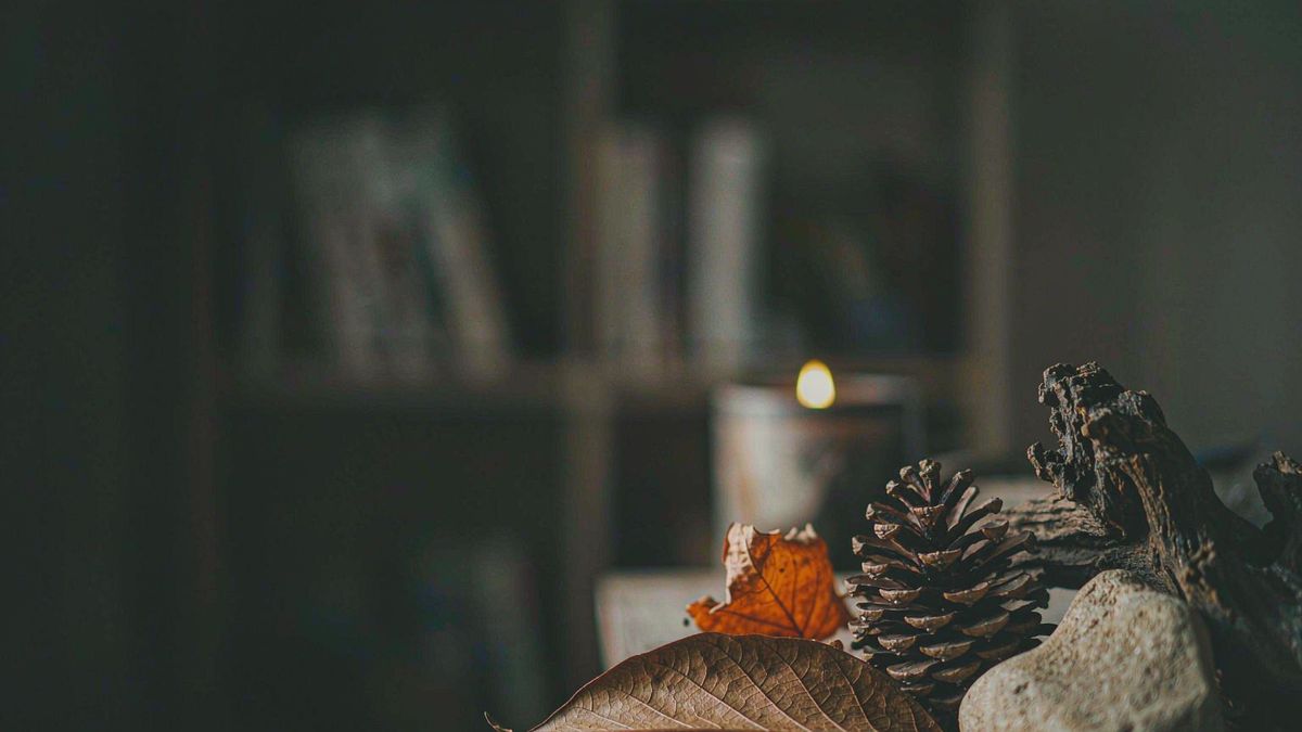 A seasonal still life grouped on a tabletop in soft directional light