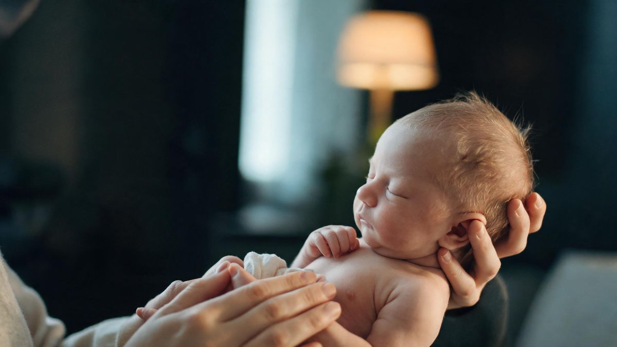 A newborn cradled in a parent's hands, soft daylight, tiny detail.