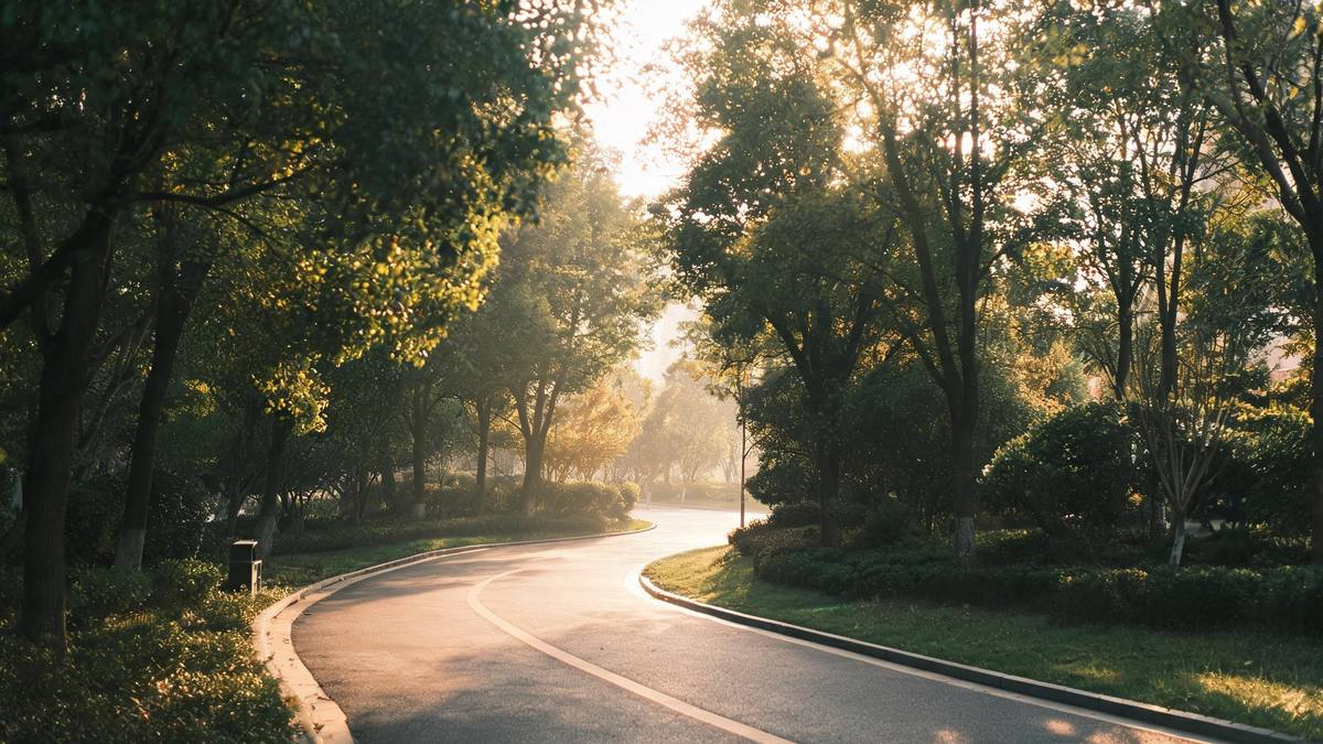 An empty park path at golden hour between tall trees with light through the leaves