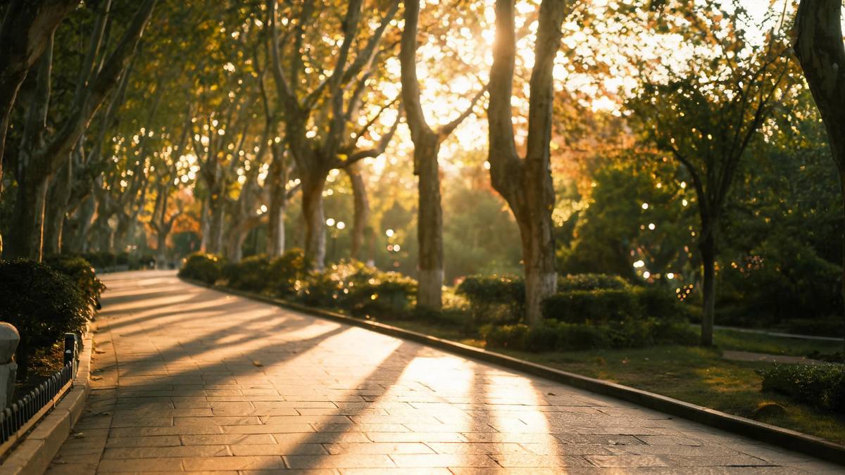 An empty sunlit park path with long soft shadows, no people