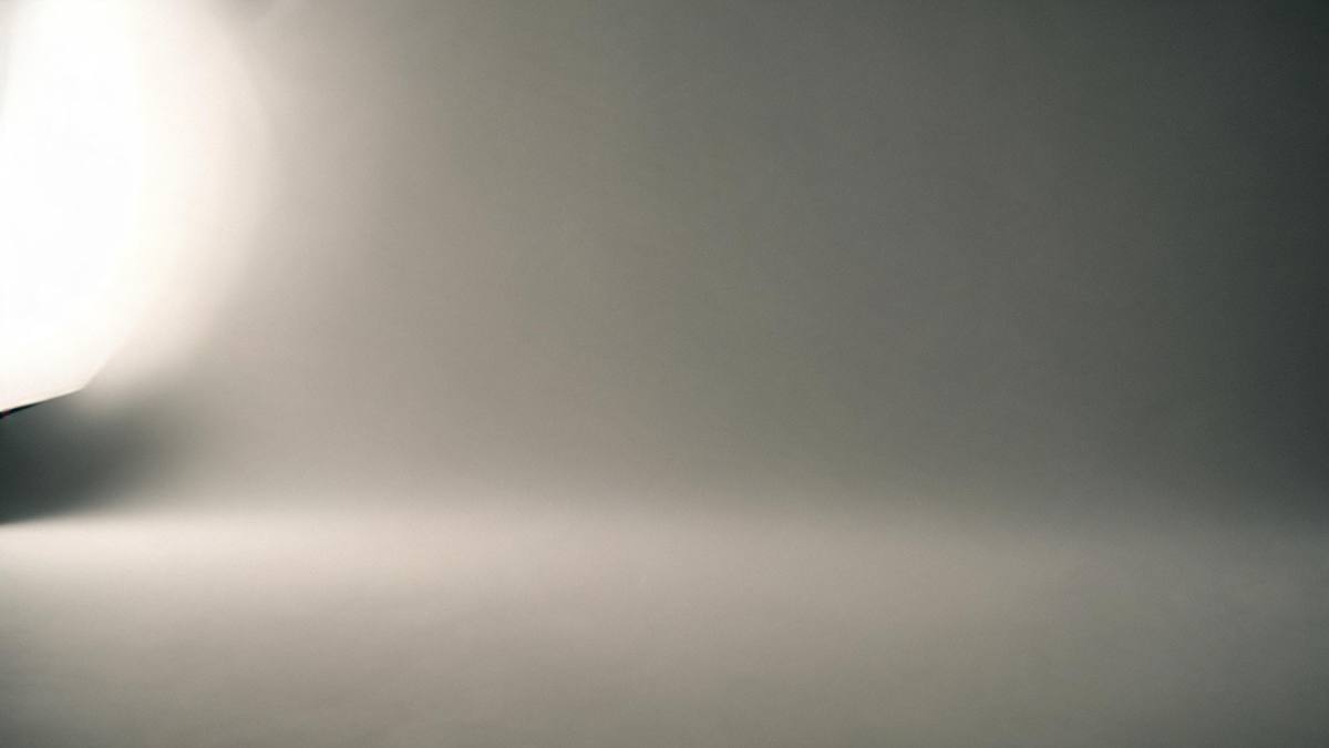 A plain seamless studio backdrop with a single soft light, no person
