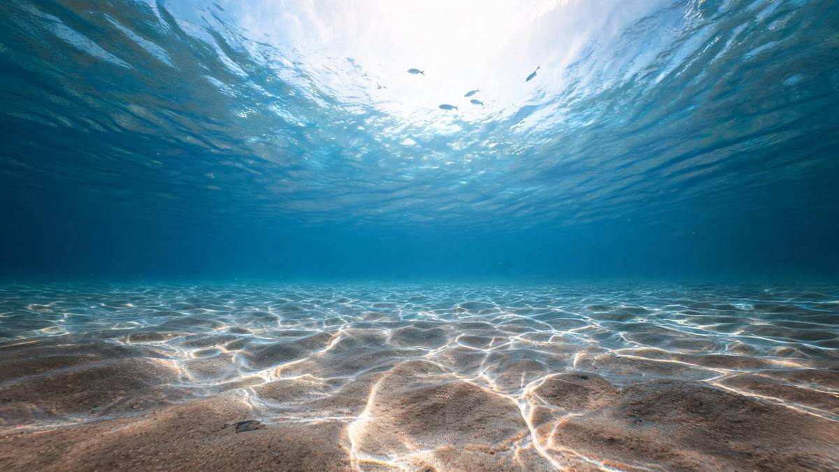 Clear blue underwater light rippling across a sandy floor with small fish silhouettes drifting above