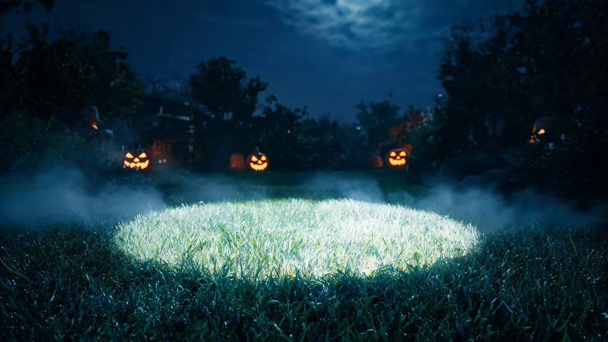 A hard circle of bright light falling onto a dark garden lawn at night from directly above