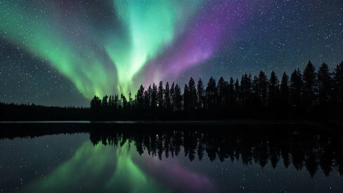 Green and violet aurora ribbons over a dark treeline reflected in still water under a star field