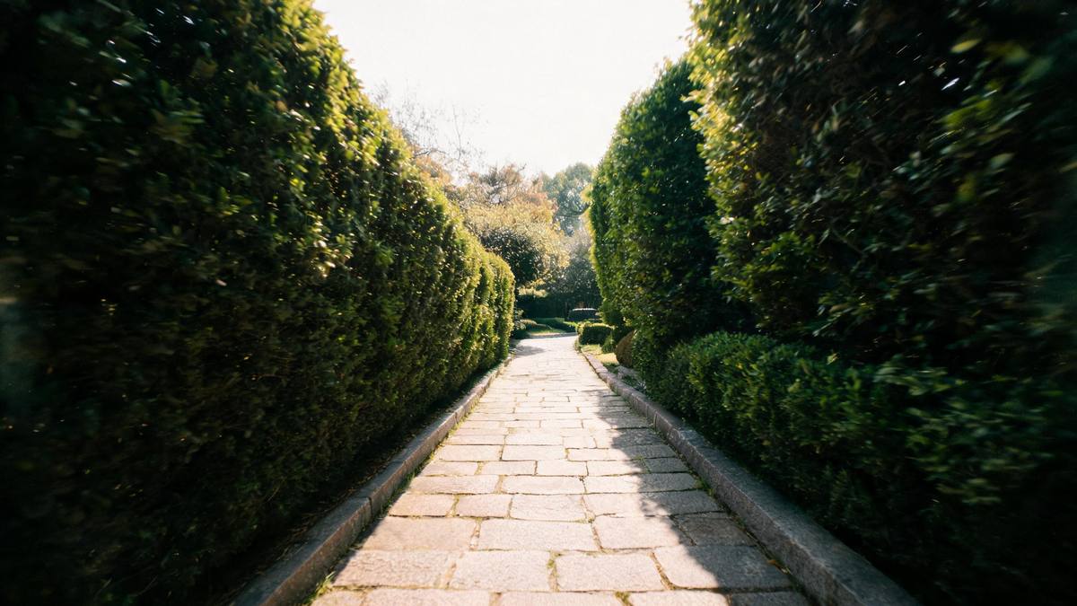 An empty garden path shot with a fisheye lens with hedges curving inward at the edges