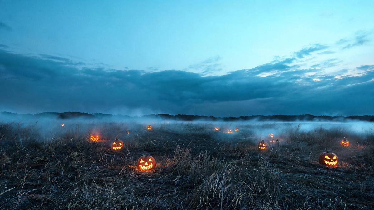 An empty open field of dry grass under a wide pale sky with heavy dark clouds along the horizon