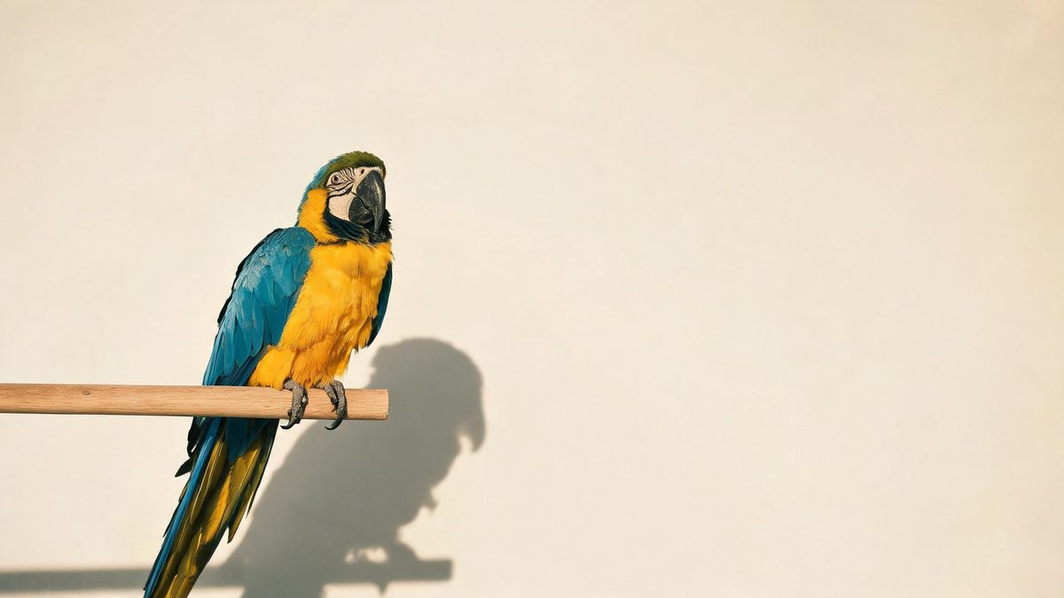 A parrot on a plain surface, lit from one side with soft shadow, broken apart at the moment of the cut