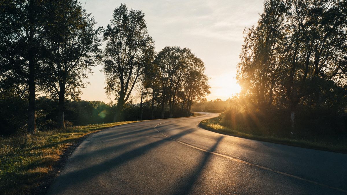 An empty country road curving away under low sun with long tree shadows across it