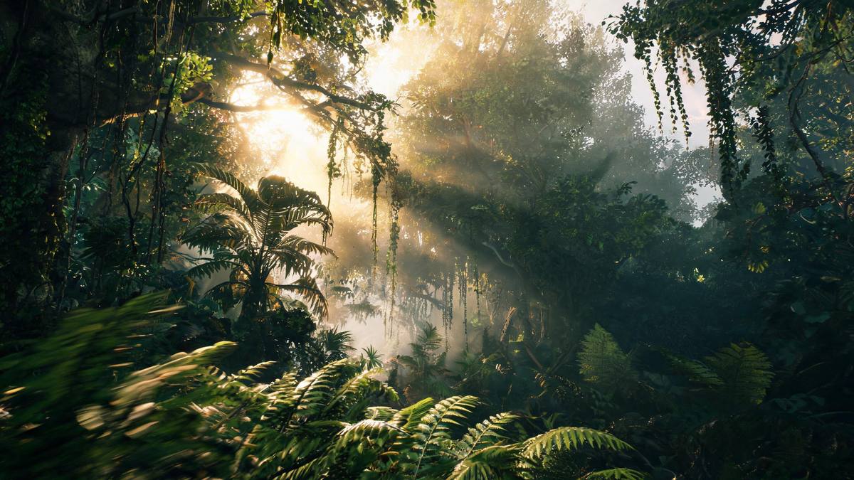 Dense tropical jungle foliage with shafts of sunlight through the canopy and humid haze